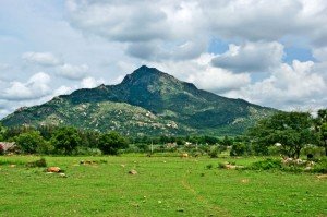 aruna_4301